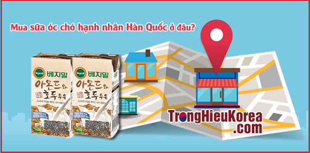 Mua sữa óc chó hạnh nhân Vegemil Hàn Quốc ở đâu tốt nhất?